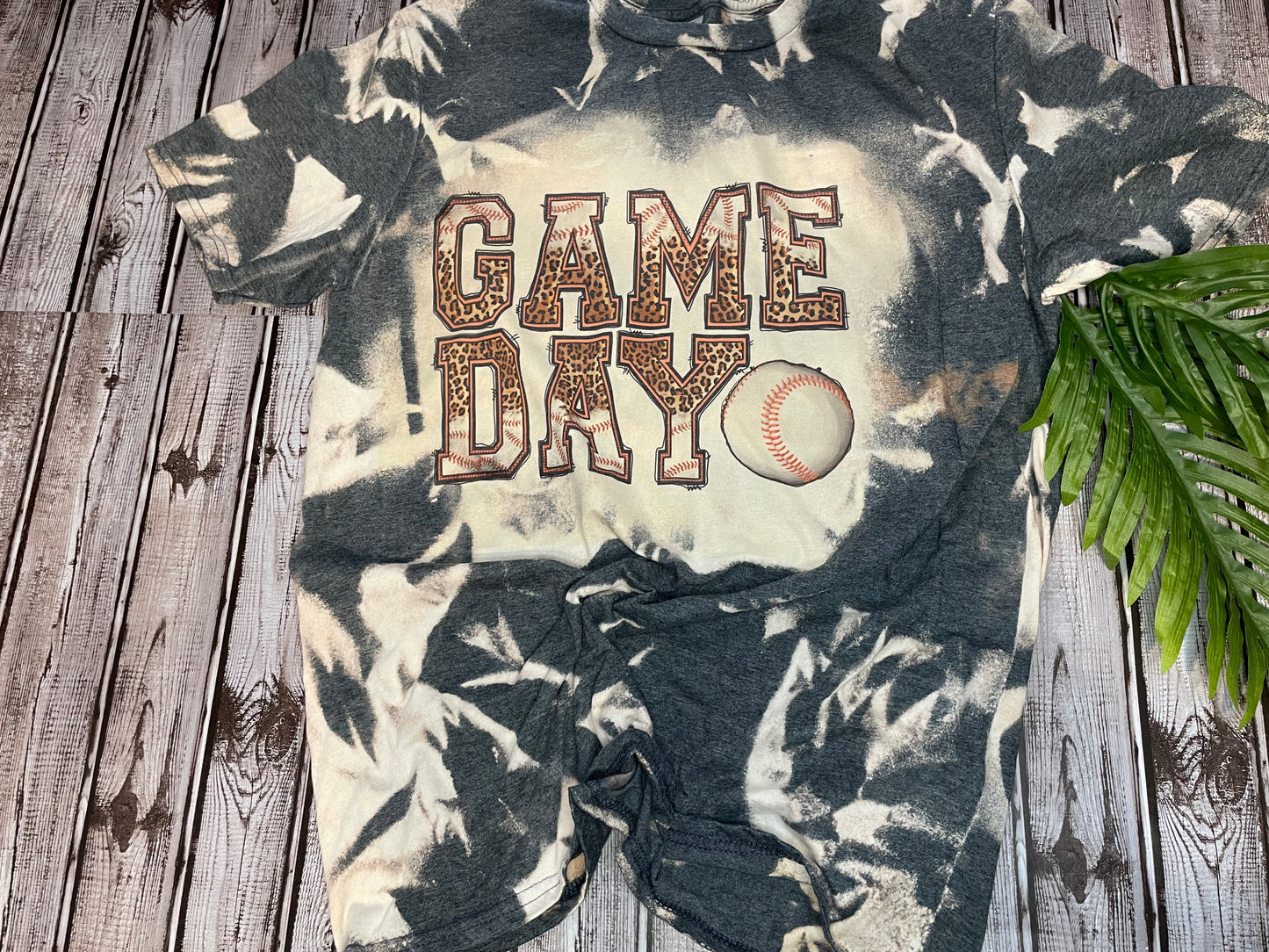 Baseball Game Day